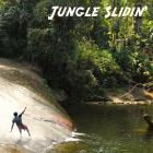 Jungle Slidin'